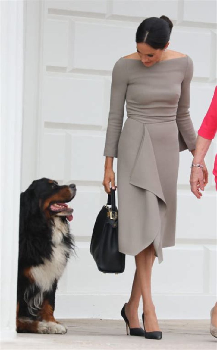 Is Meghan Markle Vegan?