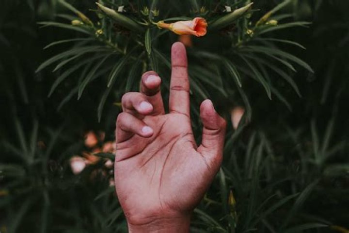 Is Rihanna Left Handed?