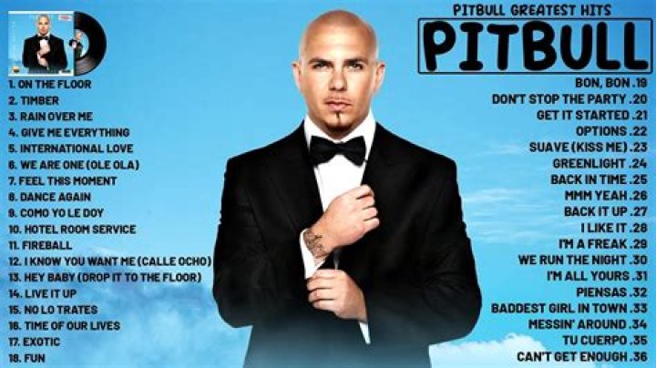 What Was Pitbull's First Song?