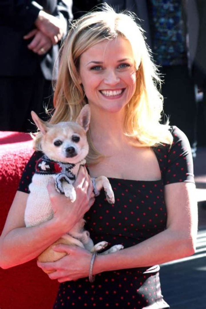 Where Did Reese Witherspoon Grow Up?