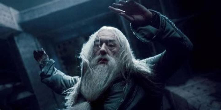 Why Did Snape Kill Dumbledore?